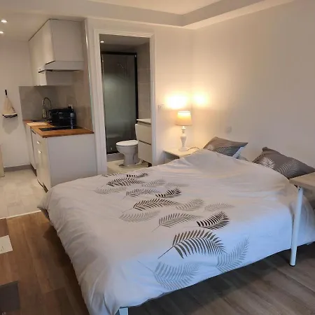 Apartament With Garden Nemours